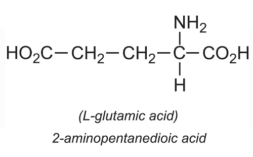 Axit glutamic