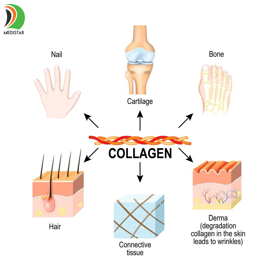 Thực hư công dụng làm đẹp từ viên uống collagen! liệu có thần kỳ như lời đồn?            
        
