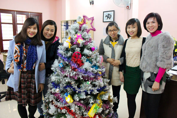 
			Medistar Việt Nam chuẩn bị đón Noel và năm mới 2015            
        