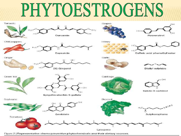 Phytoestrogen – hợp chất vàng cho phụ nữ tuổi xế chiều.            
        